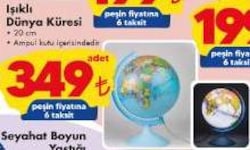 Işıklı Dünya Küresi 20 cm image