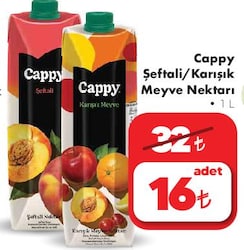 Cappy Şeftali/Karışık Meyve Nektarı 1 L image