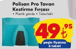Polisan Pro Tavan Kestirme Fırçası image