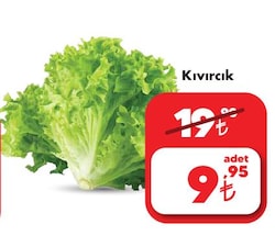 Kıvırcık Adet image