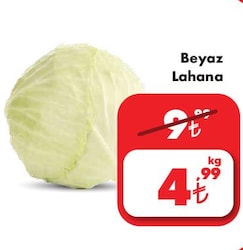 Beyaz Lahana Adet image