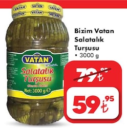 Bizim Vatan Salatalık Turşusu 3000 g image