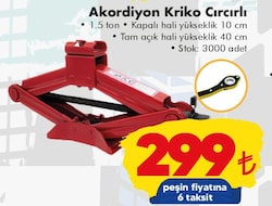 Akordiyon Kriko Cırcırlı image