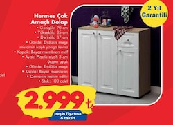 Fly Hermes Çok Amaçlı Dolap image
