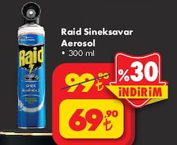 Raid Aerosol Sineksavar 300 ml image