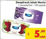 Deepfresh Islak Havlu 100 Yaprak image