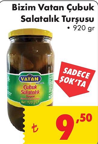 Bizim Vatan Çubuk Salatalık Turşusu 920 gr image