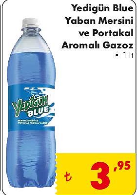 Yedigün Blue Yaban Mersini ve Portakal Aromalı Gazoz 1 lt image