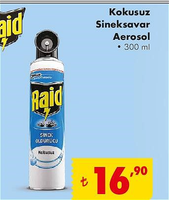 Raid Kokusuz Sineksavar Aerosol 300 ml image