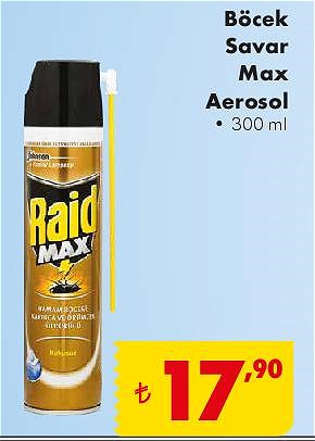 Raid Böcek Savar Max Aerosol 300 ml image
