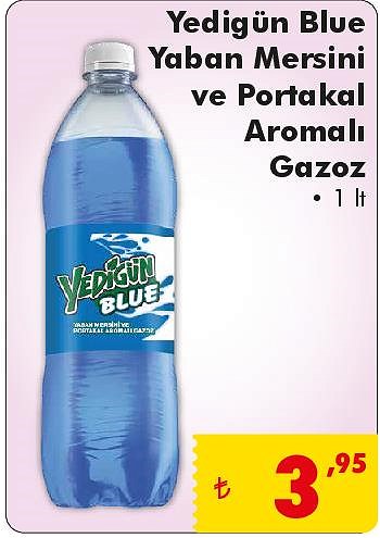 Yedigün Blue Yaban Mersini ve Portakal Aromalı Gazoz 1 lt image