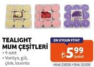 Zen Home Tealight Mum Çeşitleri image