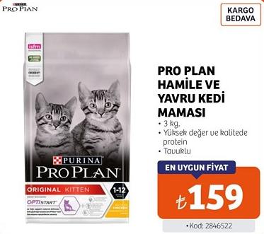 Pro Plan Hamile ve Yavru Kedi Maması 3 kg Tavuklu image