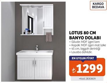 Lotus 80 cm Banyo Dolabı image