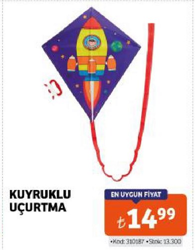Kuyruklu Uçurtma image