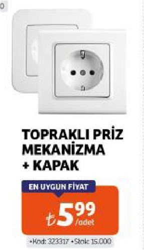 Viko Topraklı Priz Mekanizma+Kapak image