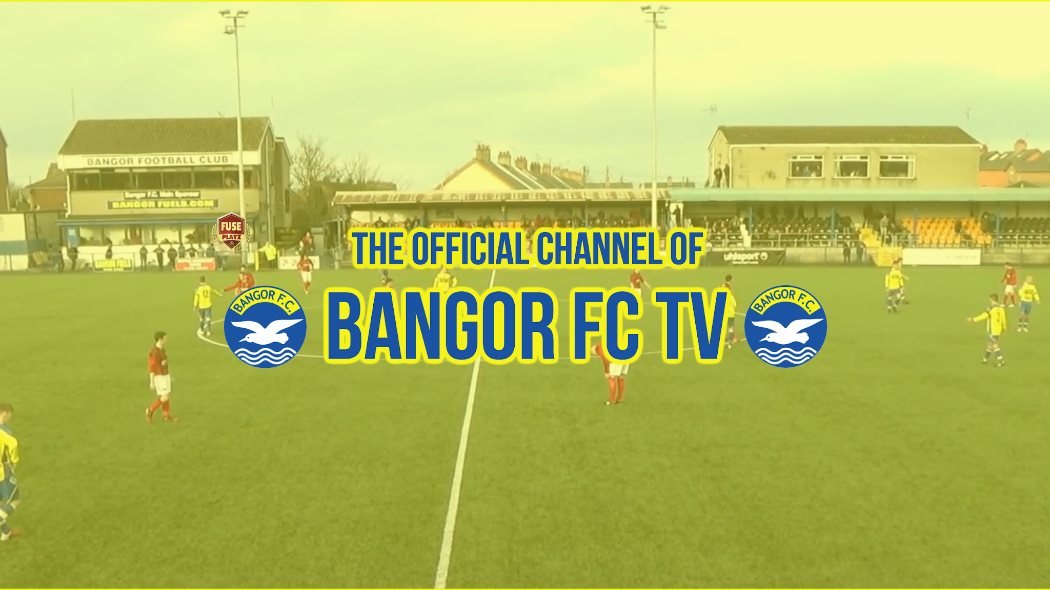 Bangor Football Club (Bangor FC TV Official channel) YouTube banner