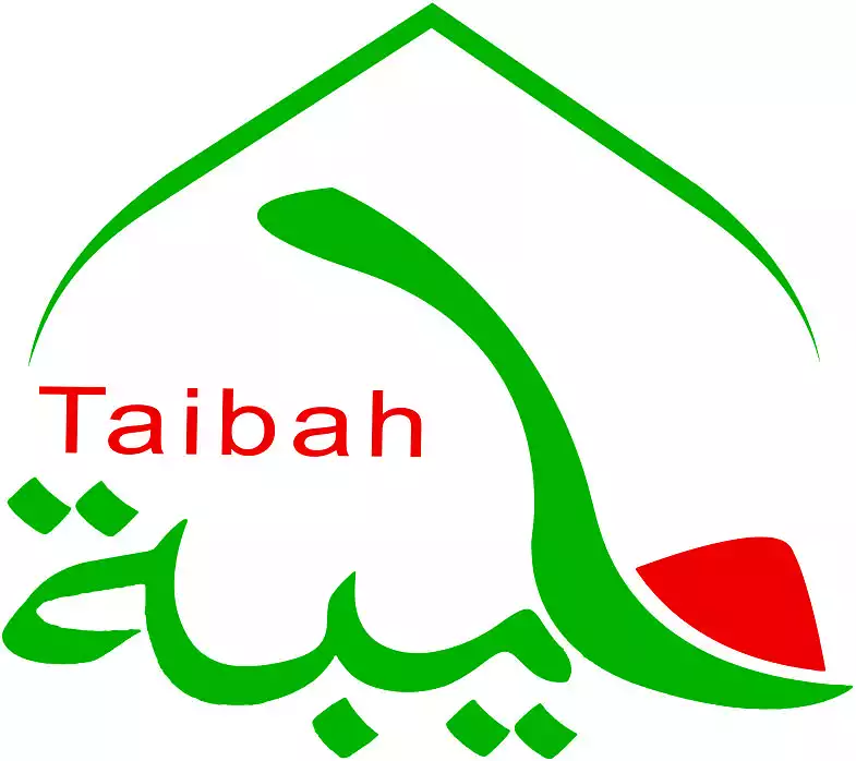 Usine d'épices Taiba pour l'emballage et le conditionnement