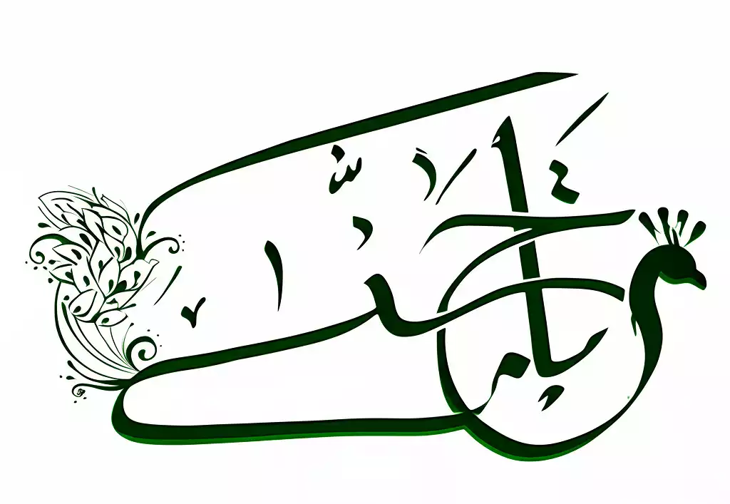 Société holding Nawal Basis Al-Sufyani