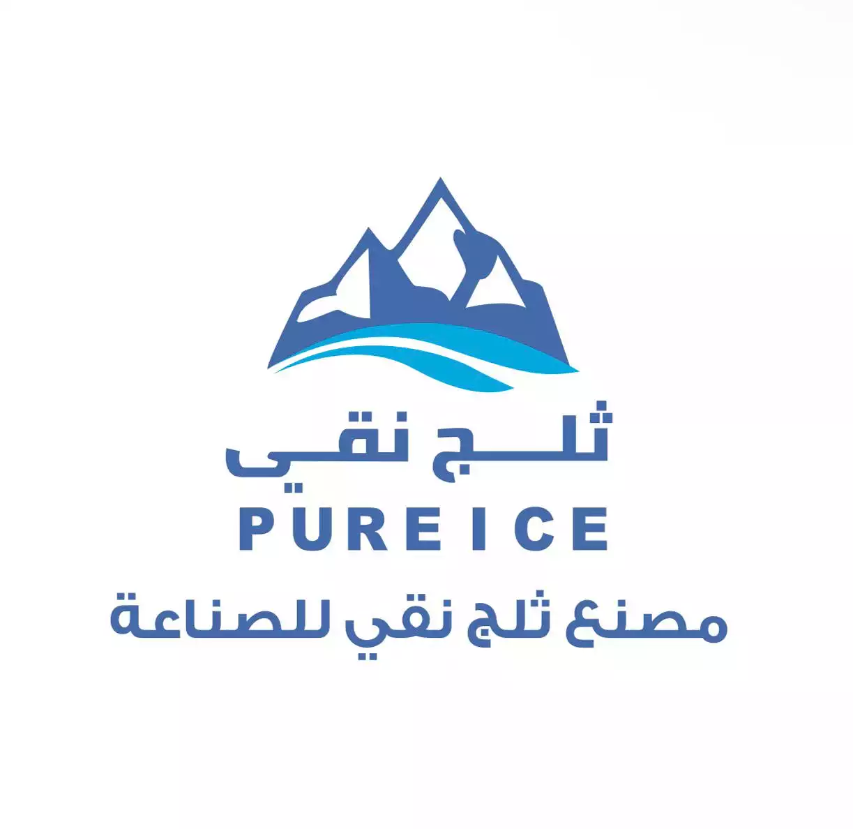 Pure Ice Factory for Industry