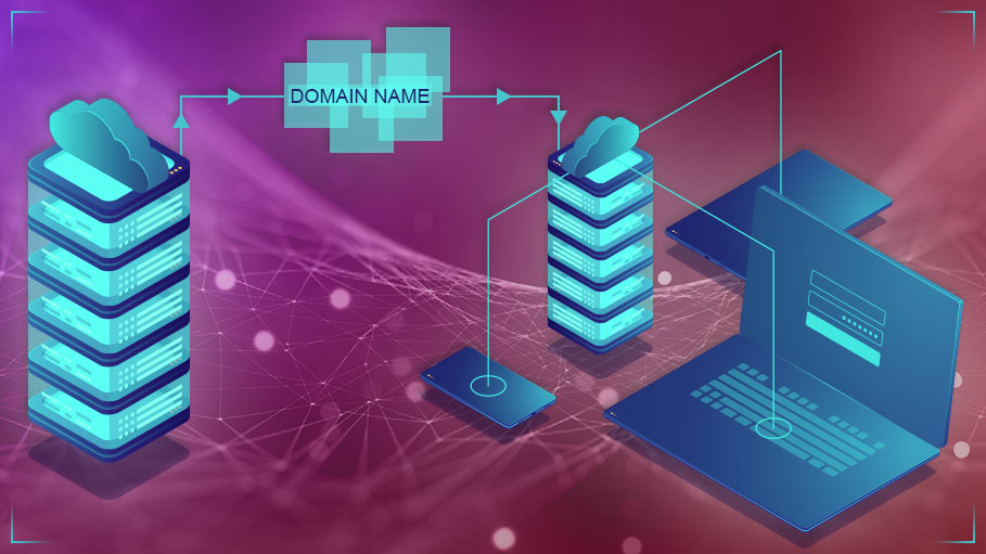 Domain Name Transfer