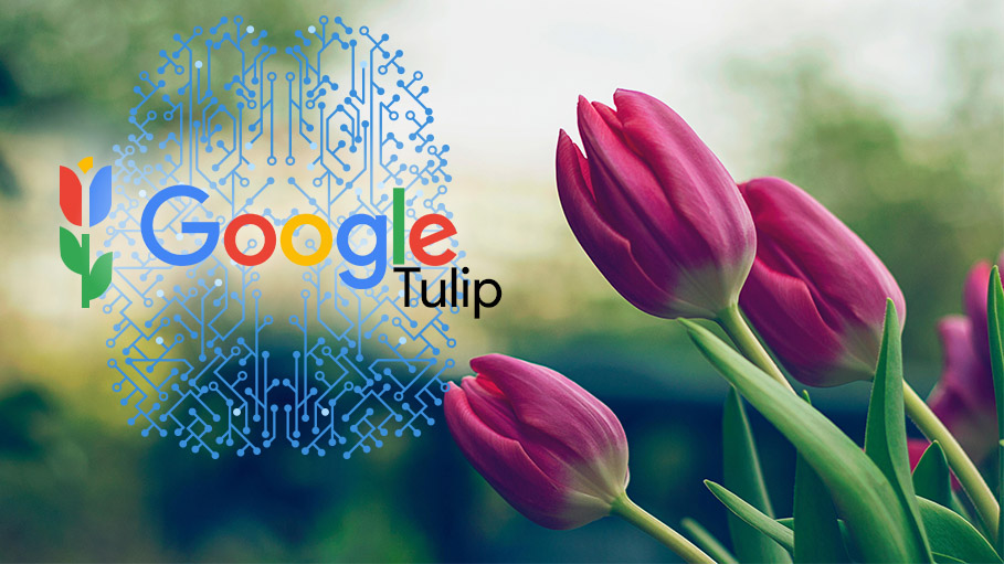 Google Tulip - Communicate with Plants