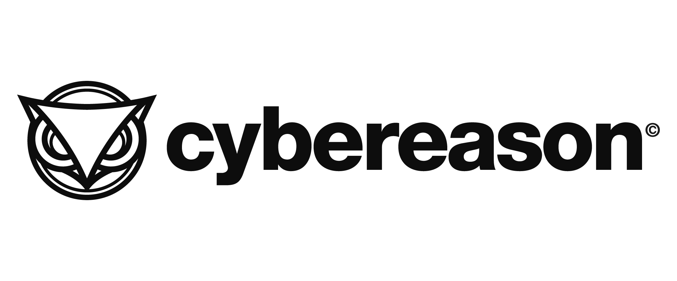 Cybereason Infoseite