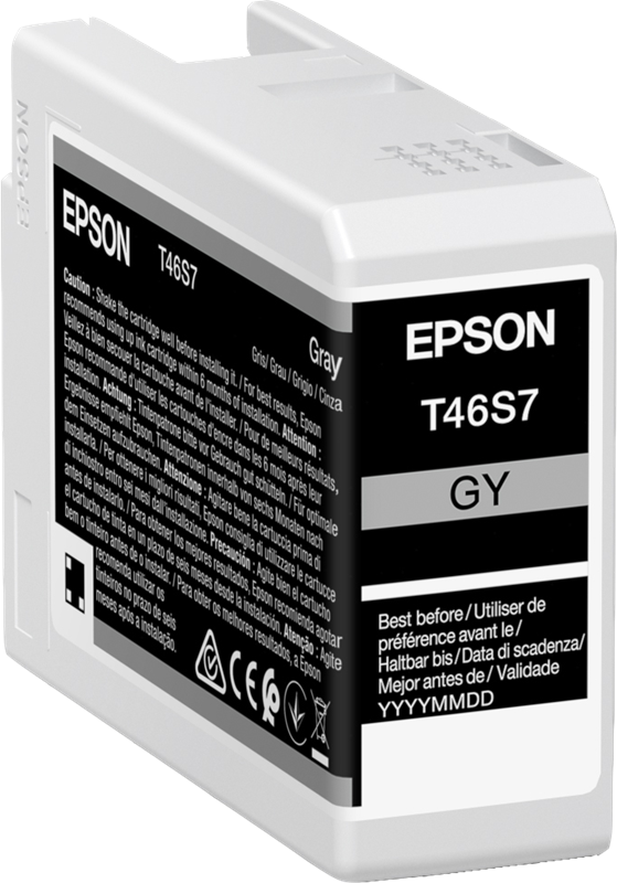 Epson cartouche encre T46S7 (C13T46S700) gris