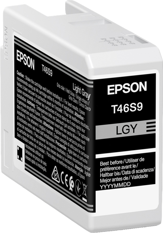 Epson cartouche encre T46S9 (C13T46S900) gris clair