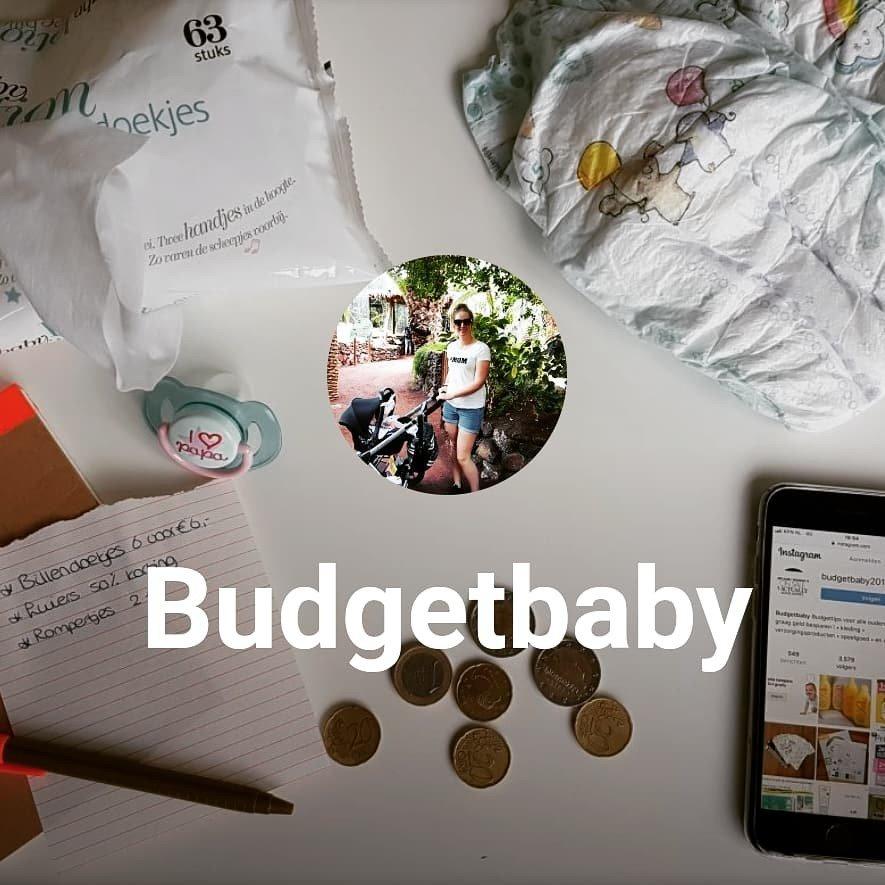 budgetbabynl