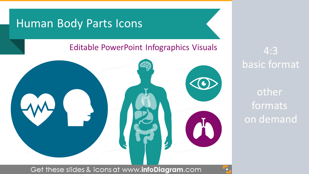 Infographics Human Body Parts Organ Medical Male Female Powerpoint Icons Pptx