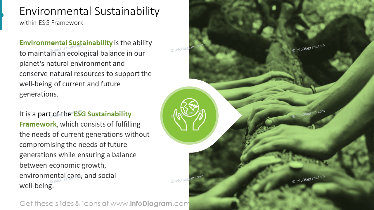 Environmental Sustainability