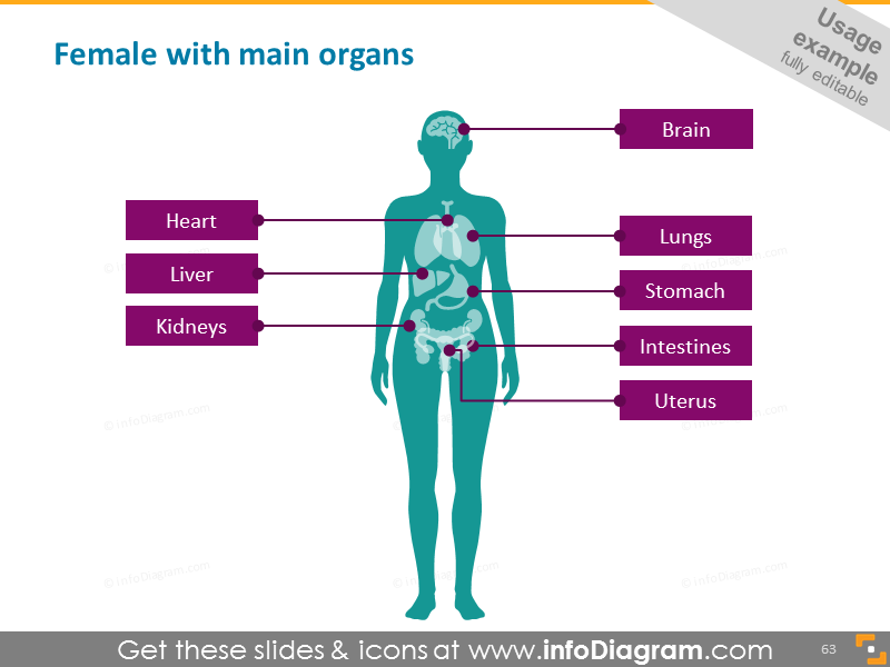 Download Medical Icon Female Silhouette Organs Powerpoint Clipart