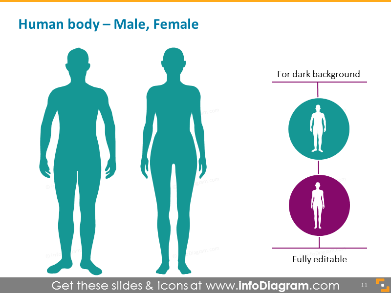 human body silhouette with main organs