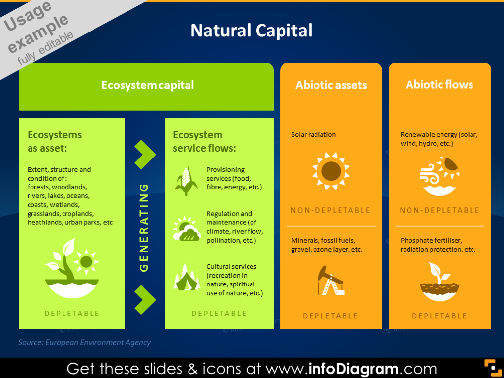 Natural Capital Graphic