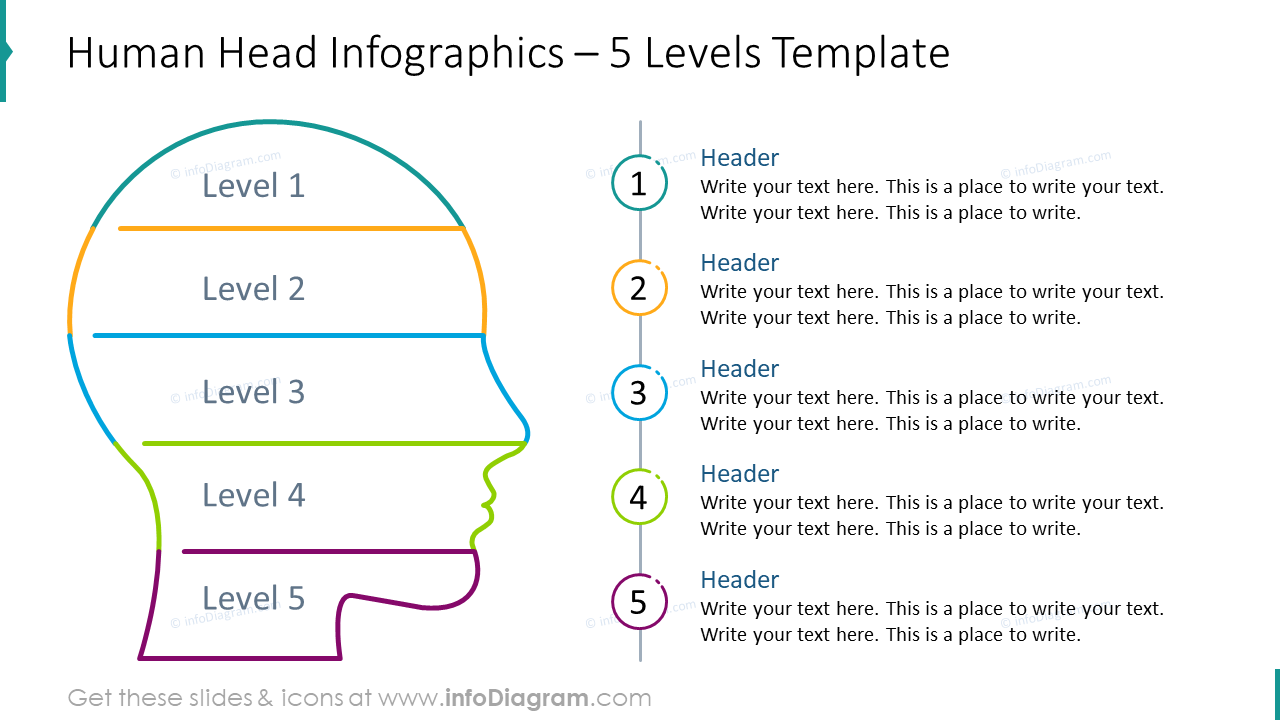 Head outline infographics for five levels template