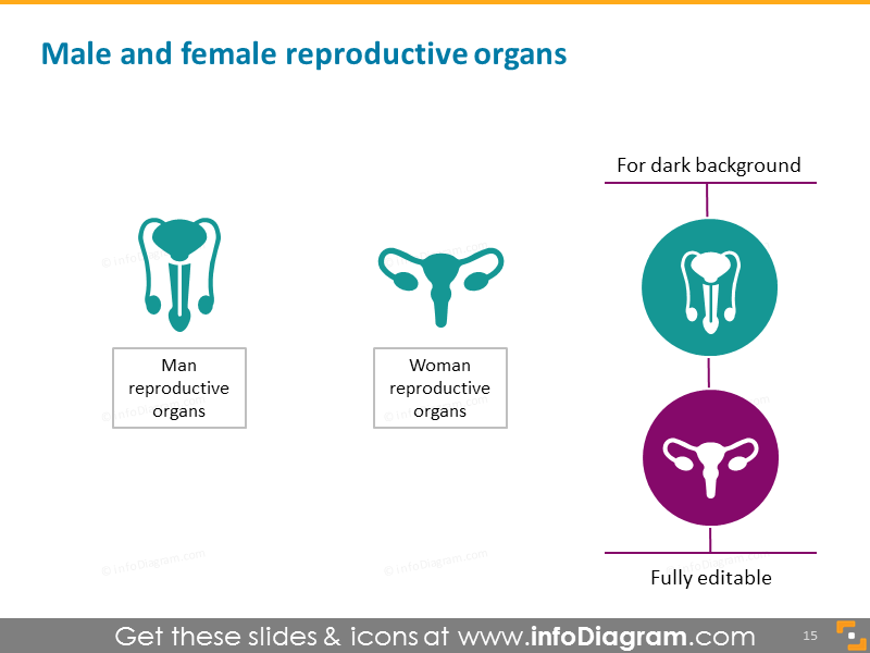 Male female на русском. "Dental Health" презентация. Diabetes and Periodontal disease relationship.