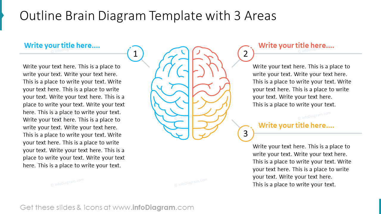 Outline Brain Diagram Template with 3 Areas