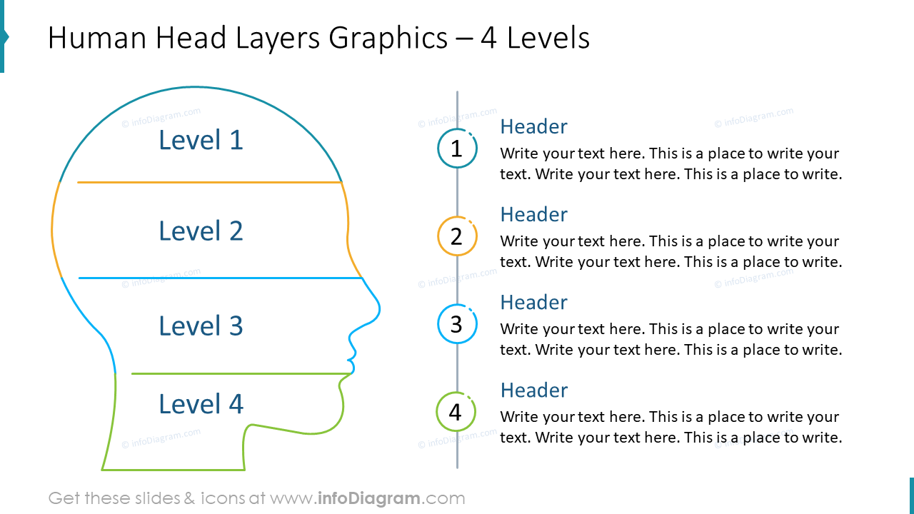 Human Head Layers Graphics – 4 Levels