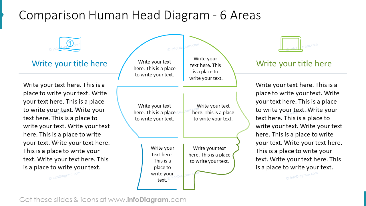 Comparison Human Head Diagram - 6 Areas