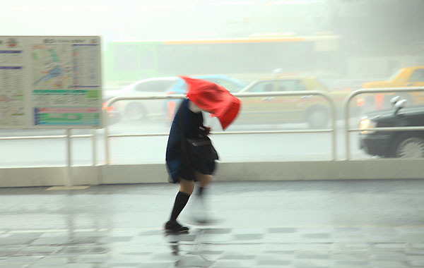 台風に集中豪雨…。災害に備えて、飲食店がとるべき対