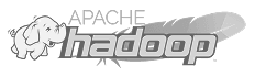 Apache Hadoop.png logo
