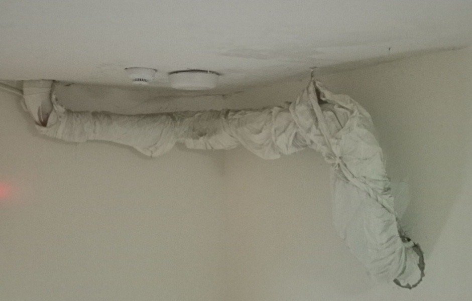 1742374777264727.jpeg IMG_7530.jpeg