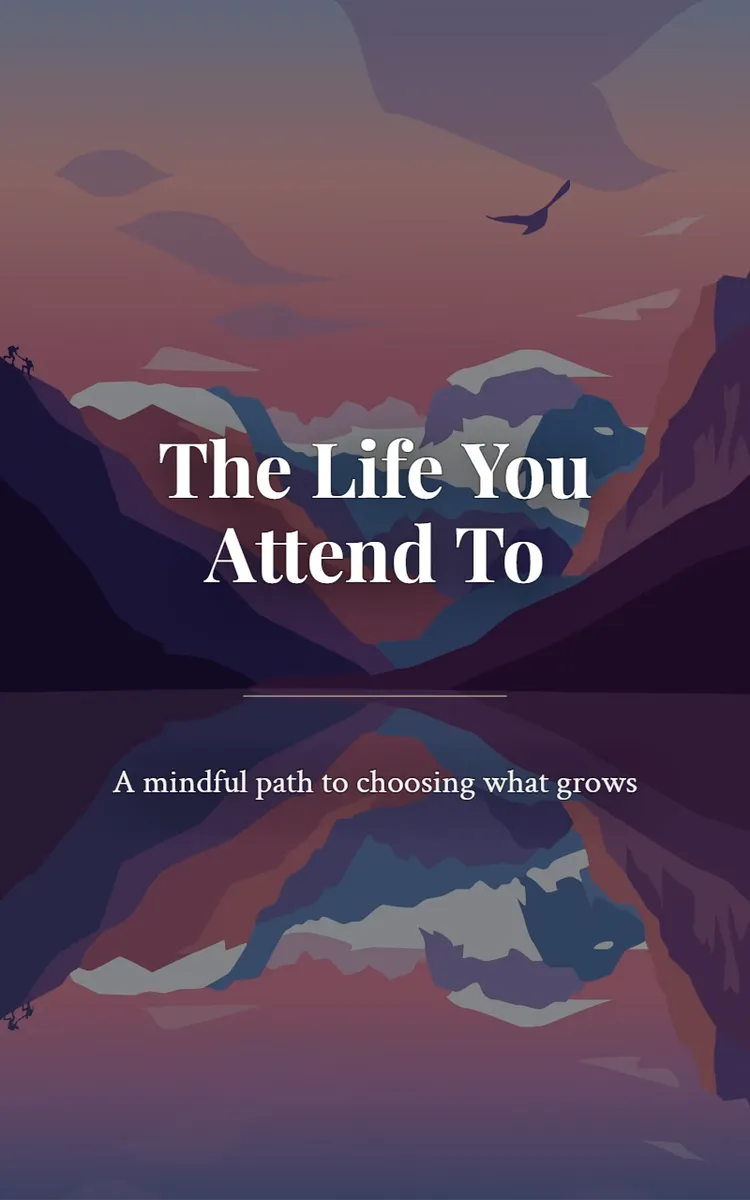 The Life You Attend To