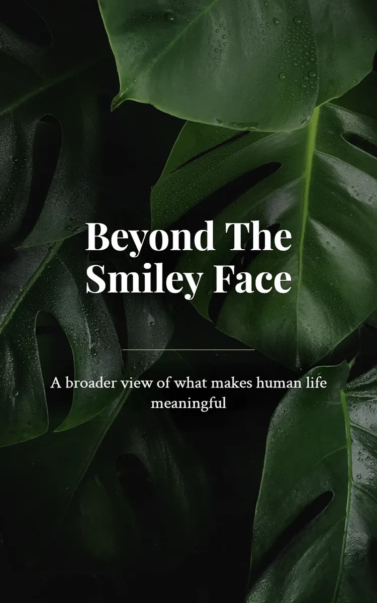 Beyond The Smiley Face