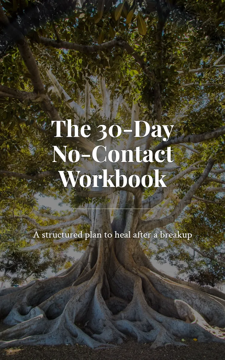 The 30-Day No-Contact Workbook
