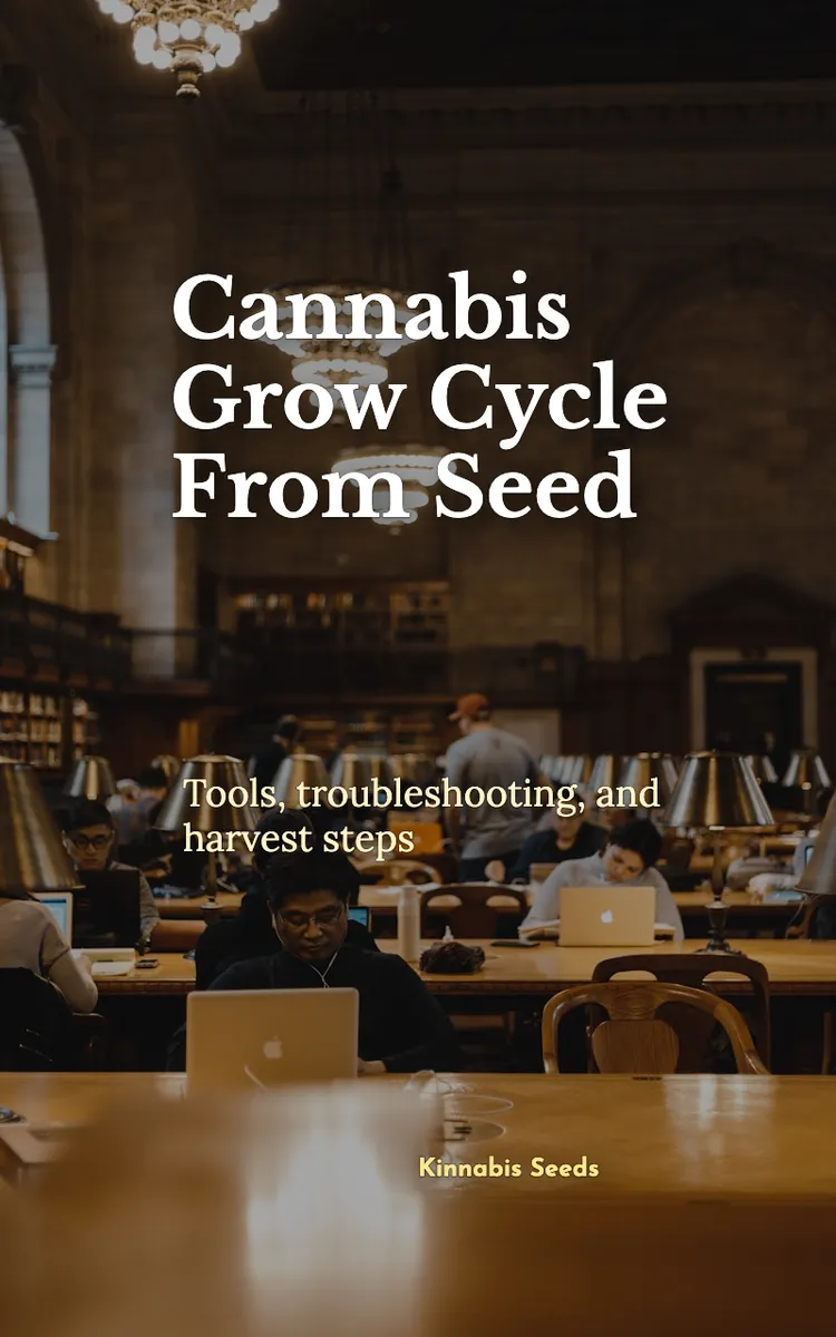 Cannabis Grow Cycle From Seed