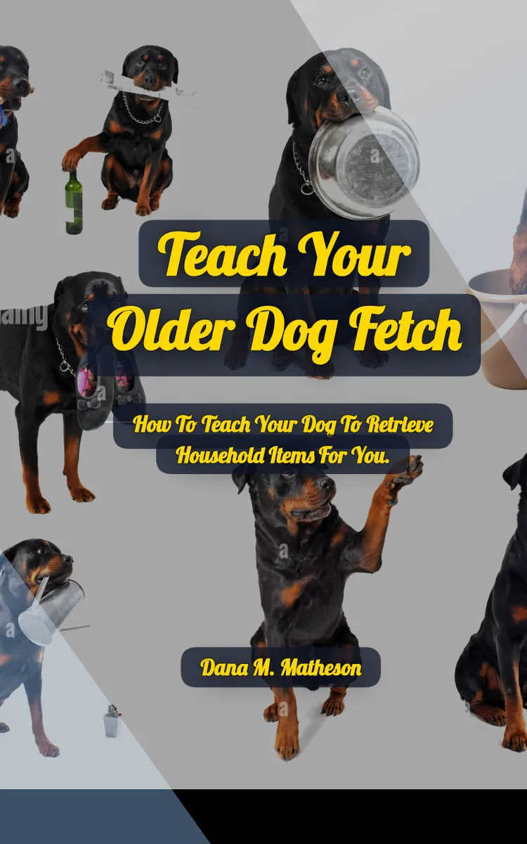 Teach Your Older Dog Fetch