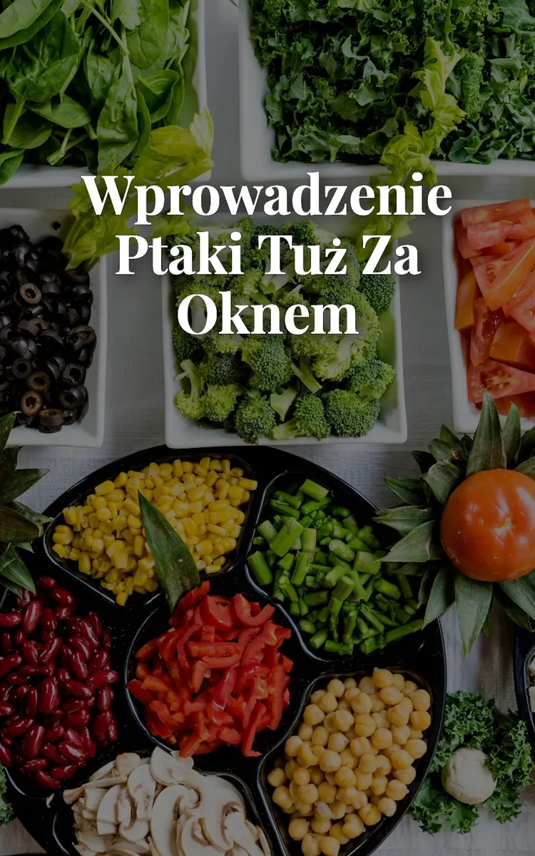 Wprowadzenie Ptaki Tuż Za Oknem