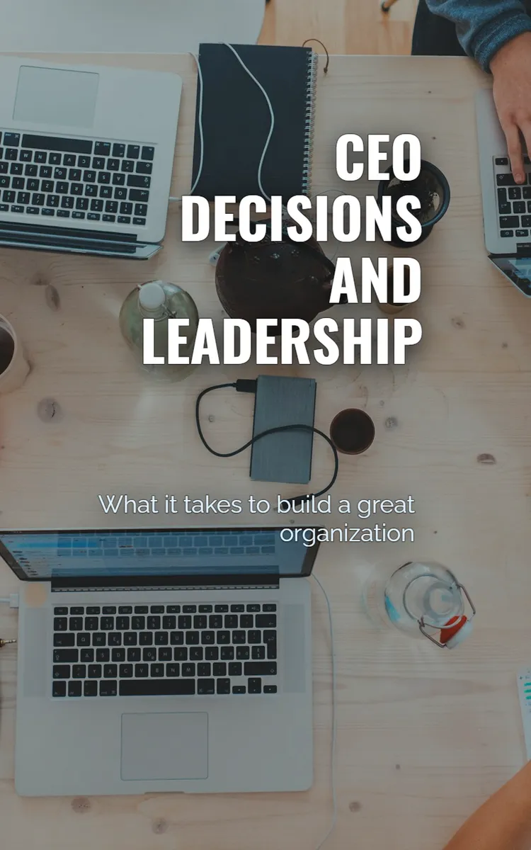 CEO Decisions And Leadership